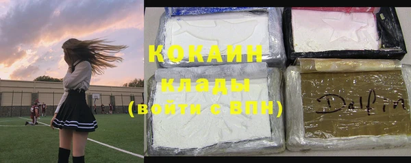 кокс Белокуриха