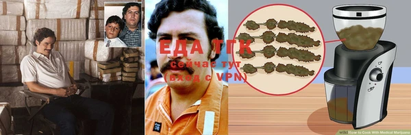индика Аркадак