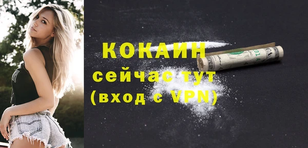 mdpv Богородицк