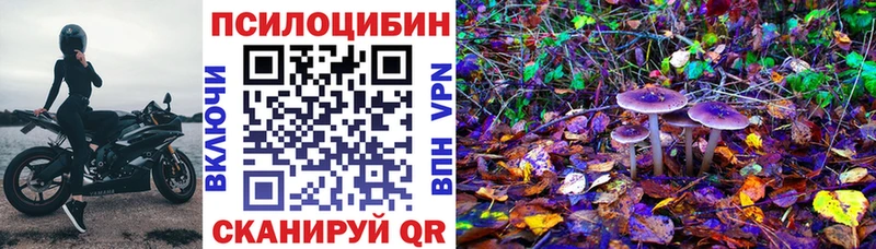 цены наркотик  Бахчисарай  Псилоцибиновые грибы Psilocybine cubensis 