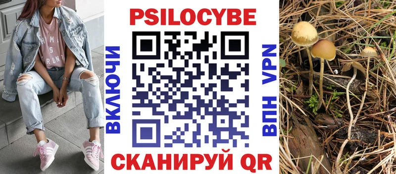 Псилоцибиновые грибы Cubensis Бахчисарай